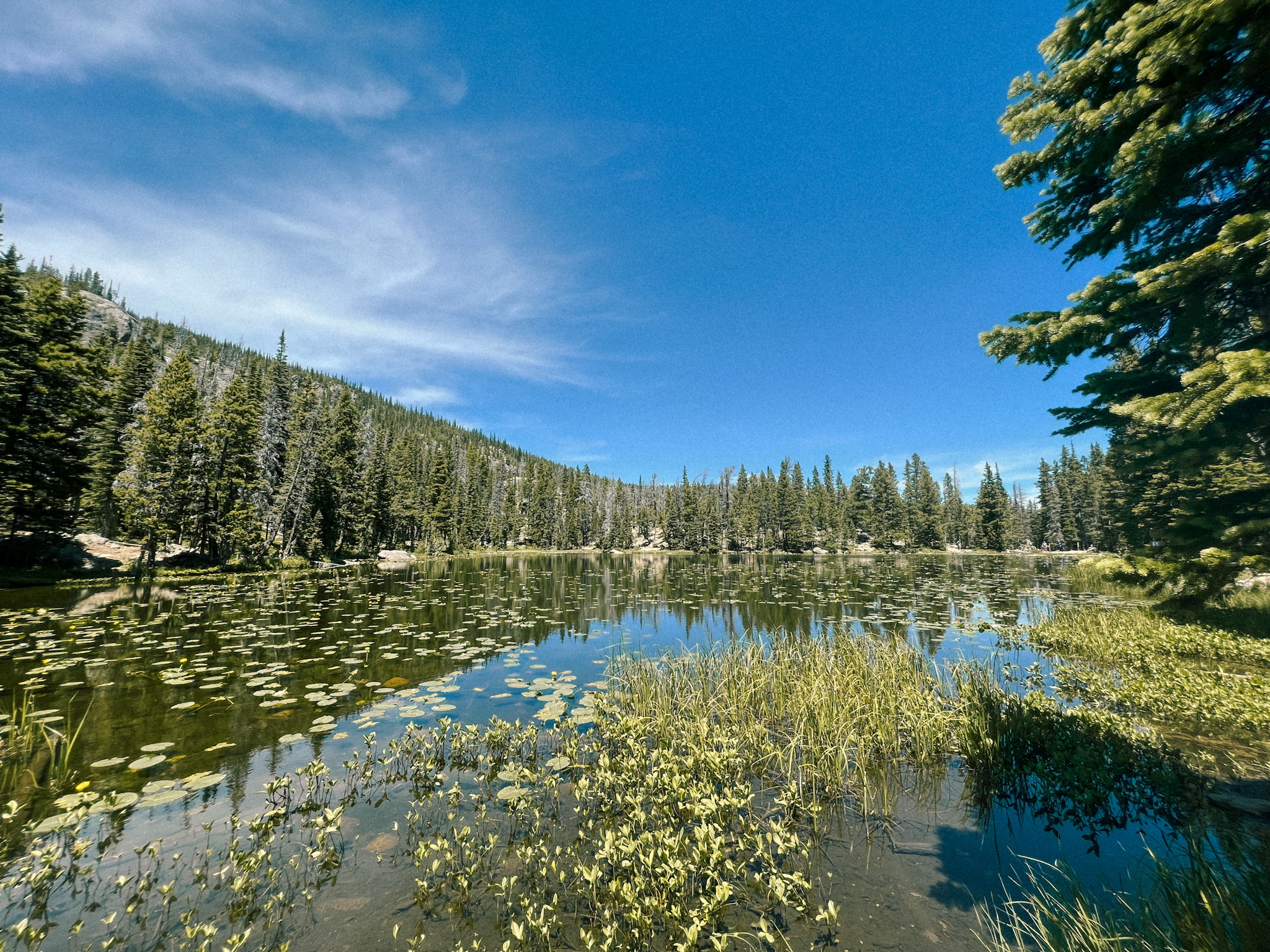 colorado